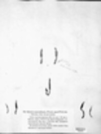 Xylaria hypoxylon image